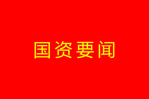 中共四川省國(guó)有資產(chǎn)監(jiān)督管理委員會(huì)委員會(huì)關(guān)于印發(fā)《黨員干部操辦婚喪喜慶事宜實(shí)施細(xì)則》的通知